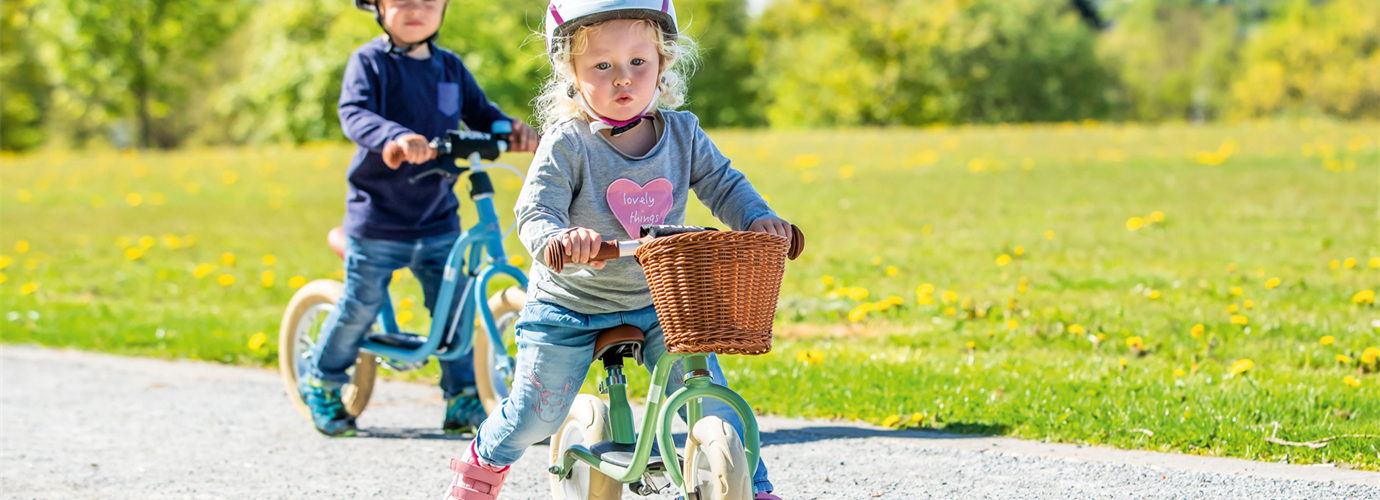 puky-wettrennen-lrmclassic-retrogreen-banner